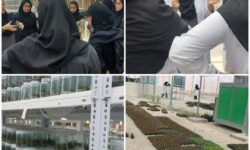 اردوی راهیان پیشرفت از یک شرکت دانش بنیان فعال در تولید گیاهان به روش کشت بافت