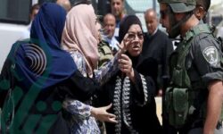 زنان غزه مرزهای تاب آوری را رد کرده و با روحیه باورمند همچنان ایستاده قامتند