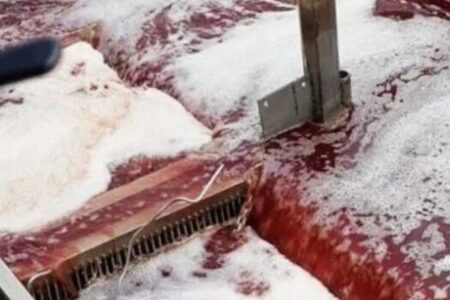 ضرورت بهره‌گیری از ظرفیت شرکت‌های دانش‌بنیان در حل چالش‌های کشتارگاه‌ها