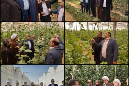 بازدید دکتر مردانی و همراهان از مرکز فناوری شهر مجلسی کارخانه تولید بذر